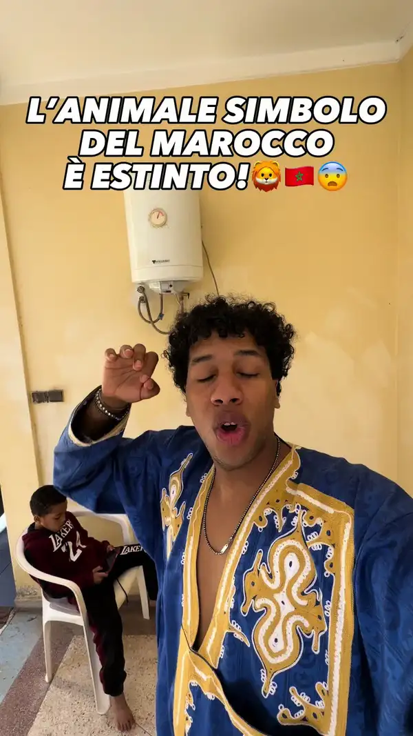 Leone vs leone berbero chi vince?🦁🤔😂